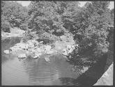 [Untitled]