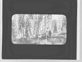Riders with pack animals, Yosemite Trip