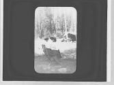 At camp, Yosemite Trip