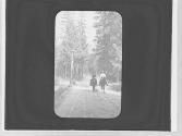 Riders on a road, Yosemite Trip