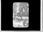 Rider under a tree, Yosemite Trip