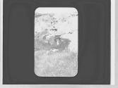 Nell Newhall sitting in grass, Yosemite Trip