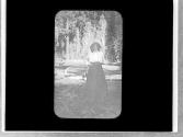 Nell Newhall, Yosemite Trip