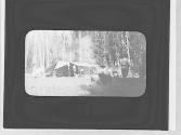 At camp, Yosemite Trip