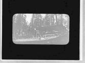 At camp, Yosemite Trip