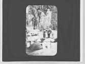Loading pack animals, Yosemite Trip