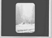 Riders, Yosemite Trip