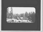 Wooden buildings, Yosemite Trip