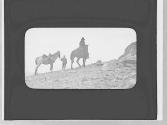 Couple & horses, Yosemite Trip