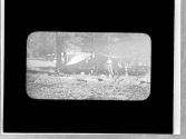 At camp, Yosemite Trip