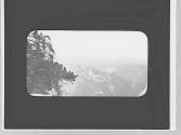 View of a valley, Yosemite Trip