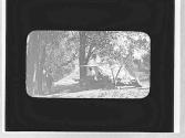 At camp, Yosemite Trip