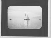 Sailboat