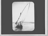 Sailboat
