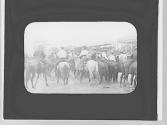 Rodeo watchers, Wyoming Trip