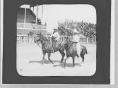 Riders, Wyoming Trip
