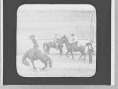 Rodeo riders, Wyoming Trip