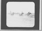 Horse race, Wyoming Trip