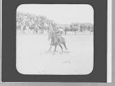 Horse race, Wyoming Trip
