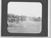 Rodeo watchers, Wyoming Trip