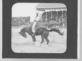 Rodeo rider, Wyoming Trip