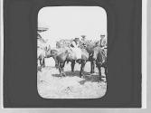 Rodeo riders, Wyoming Trip