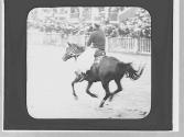 Rodeo rider, Wyoming Trip