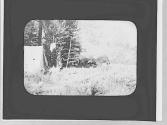 At camp, Wyoming Trip