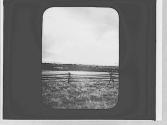 Field & fence, Wyoming Trip