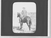 Rider, Wyoming Trip