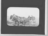Horse-drawn wagon, Wyoming Trip