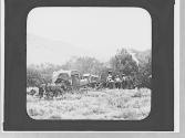 Group & wagons, Wyoming Trip