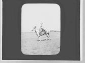 Rider, Wyoming Trip