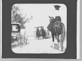 Wagons & a rider, Wyoming Trip