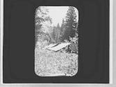 At camp, Wyoming Trip
