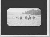 Riders in a field, Wyoming Trip