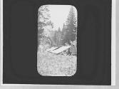 At camp, Wyoming Trip