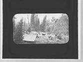 At camp, Wyoming Trip