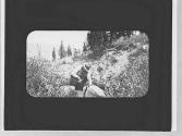 Man with bird's nest, Wyoming Trip