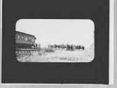 Horses & a train, Wyoming Trip