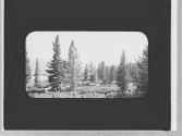 View of countryside, Wyoming Trip