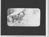 Edward Mulligan at camp, Wyoming Trip