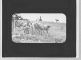 Man & pack animals, Wyoming Trip