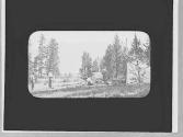 At camp, Wyoming Trip