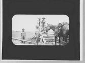 Boys & horses, Wyoming Trip