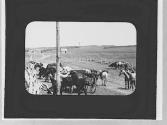 Men & pack animals, Wyoming Trip