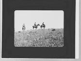 Riders on a ridge, Wyoming Trip