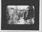 View of a stream, Wyoming Trip