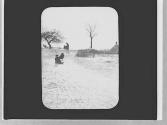 Children sledding