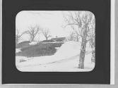 Snow scene
